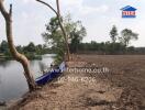 Vacant land near a water body with trees