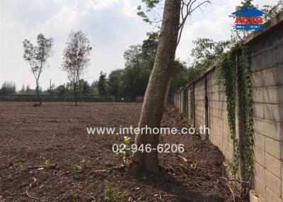 Vacant land for sale next to a wall