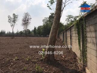 Vacant land for sale next to a wall