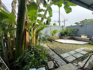 Backyard with banana plants and a small garden area