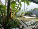 Backyard with banana plants and a small garden area