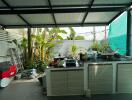 Outdoor kitchen with plants