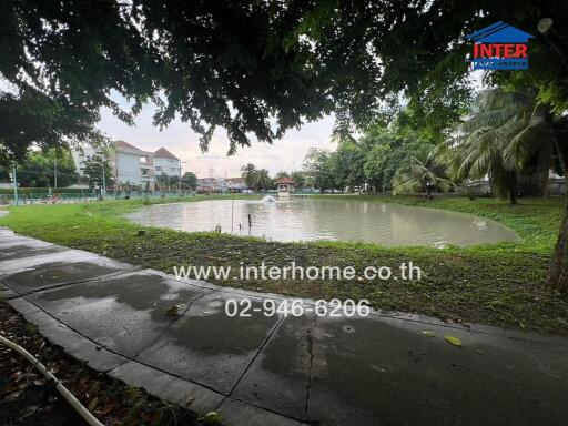 View of a pond in a residential area surrounded by trees with a path in the foreground