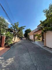 Leafy street view with residential houses