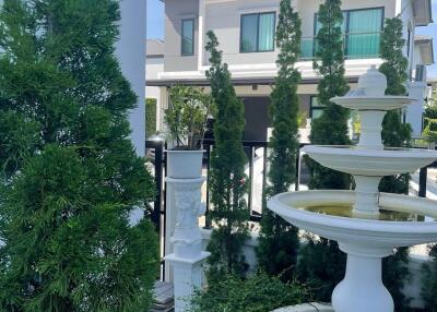 Garden area with fountain and greenery