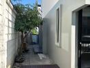 Backyard with walkway and trees