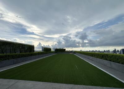 Rooftop garden with city view