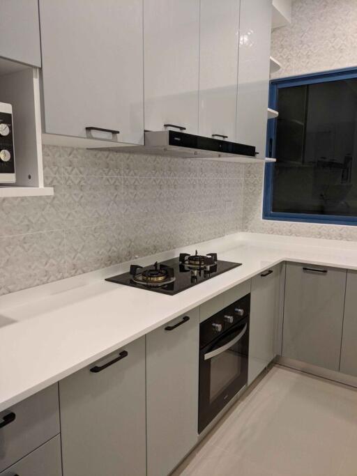 Modern kitchen with sleek white cabinetry and built-in appliances