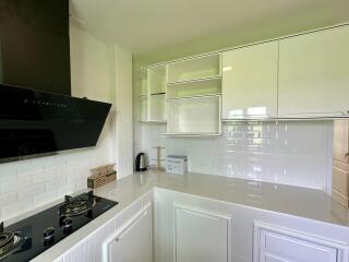 Modern kitchen with white cabinets, black stove, and built-in appliances