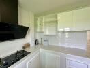 Modern kitchen with white cabinets, black stove, and built-in appliances