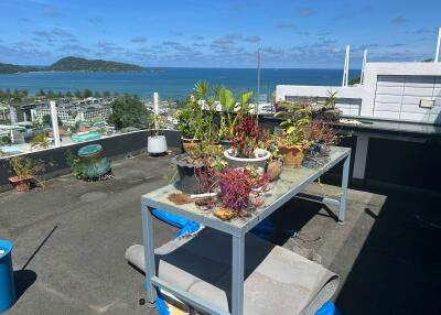 Rooftop with ocean view and potted plants