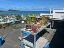 Rooftop with ocean view and potted plants