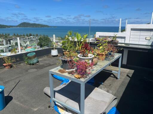 Rooftop with ocean view and potted plants