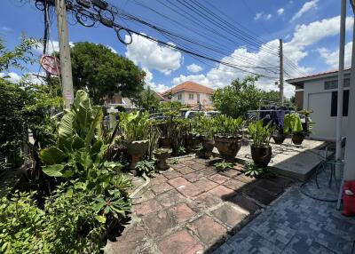 A beautiful garden area with potted plants and a pathway