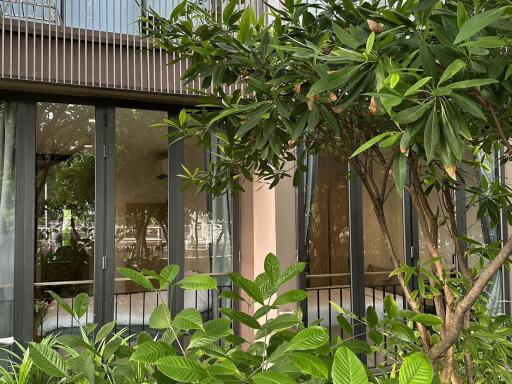 Exterior view of a home with large glass doors and lush greenery