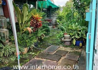 Outdoor garden area with greenery and a stone pathway