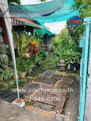 Outdoor garden area with greenery and a stone pathway