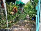 Outdoor garden area with greenery and a stone pathway