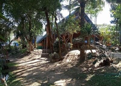 wooden house surrounded by trees