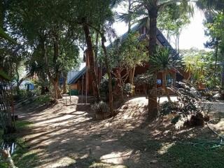 wooden house surrounded by trees