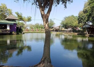 Peaceful outdoor area with a pond