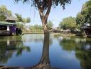 Peaceful outdoor area with a pond