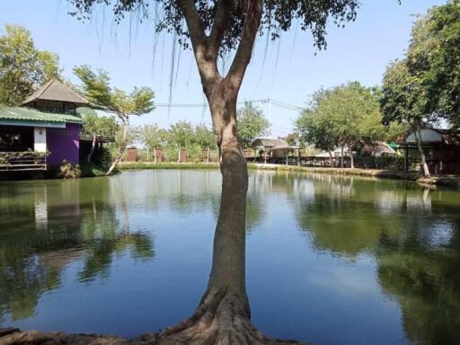 Peaceful outdoor area with a pond