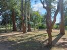 Spacious backyard with trees