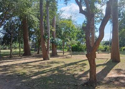 Spacious backyard with large trees and shaded areas