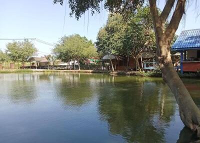 View of a serene pond surrounded by trees and small structures