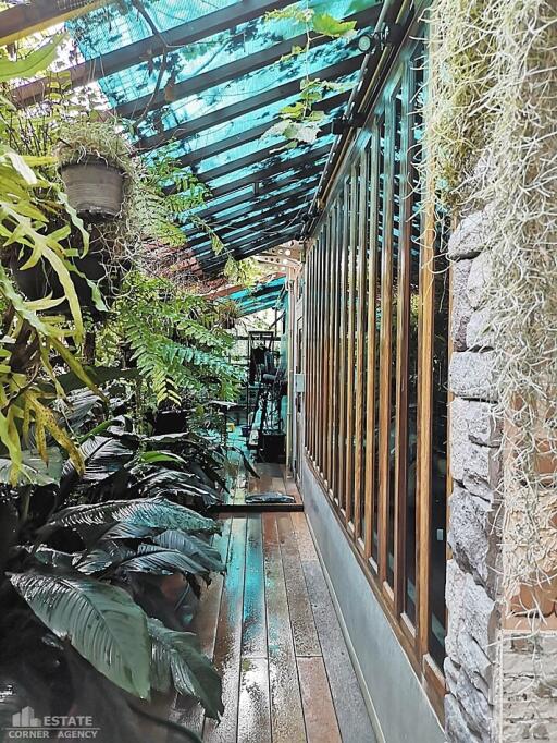 A lush green corridor with plants and a glass ceiling