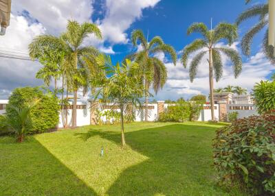 Spacious backyard garden with palm trees and greenery