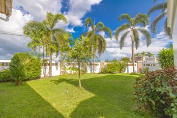 Spacious backyard garden with palm trees and greenery