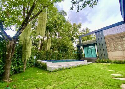 Modern house with garden and swimming pool