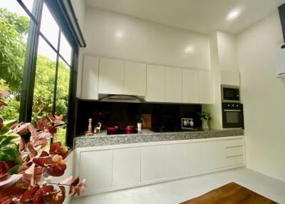 Modern Kitchen with White Cabinets and Large Window