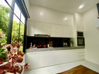 Modern Kitchen with White Cabinets and Large Window