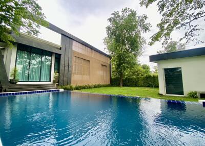 Modern backyard with pool