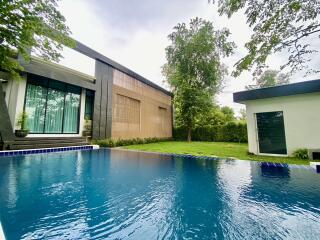 Modern backyard with pool