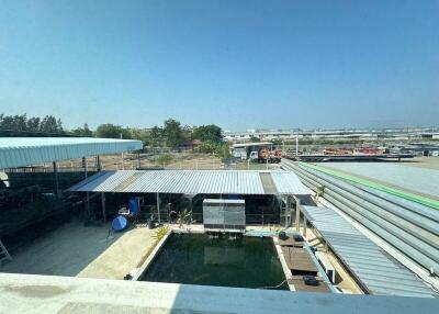 For Sale Samut Prakan Warehouse Wat Sriwarinoy Bang Phli