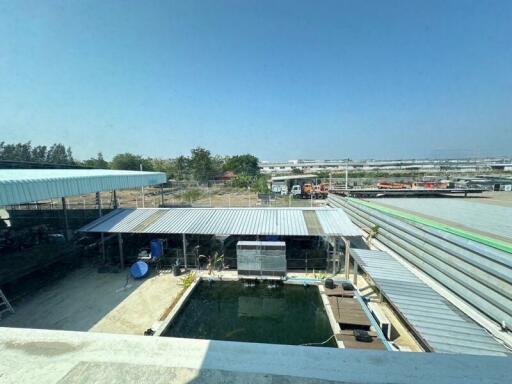 For Sale Samut Prakan Warehouse Wat Sriwarinoy Bang Phli