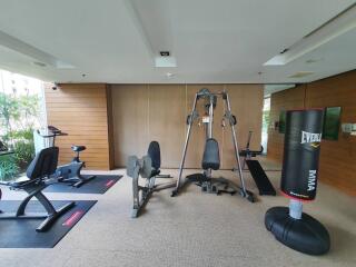 Home gym with various exercise equipment