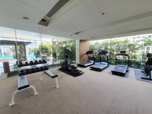 Modern gym with exercise equipment and pool view