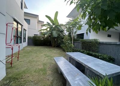 Backyard with greenery and outdoor seating