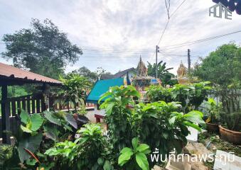 Outdoor area with greenery and small structures