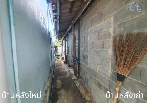 narrow alley between two houses