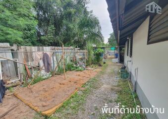 Side view of the backyard with garden area