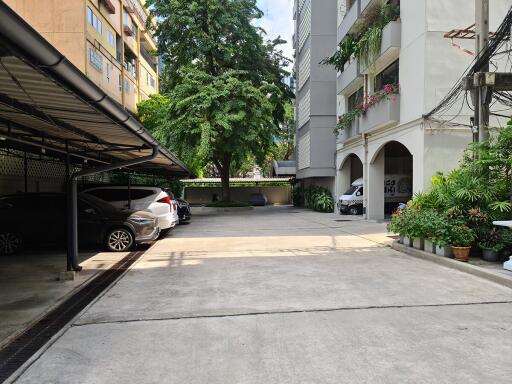 Large Condo Sukhumvit 8