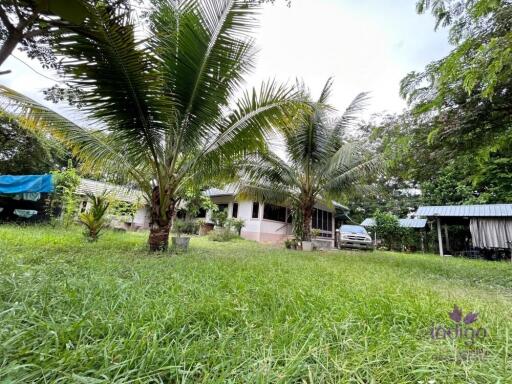 This lovely single storey home ,3 bedroom on 1 rai land in a semi rural area in San Kamphaeng, Chiang Mai