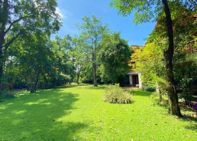 Beautiful resort style property with private swimming pool, pond and big garden in Doi Saket, Chiang mai