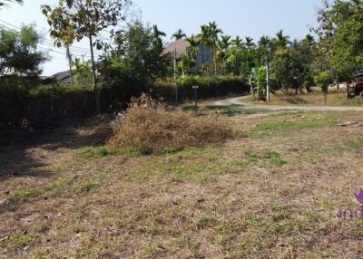 A very nice plot of land in Mae Rim which would be ideal if you’re looking for land to build your dream home where you can grow your own fruits and vegetables.